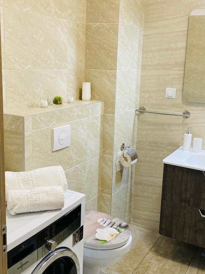 Dina Lux Iasi Apartment 外观 照片